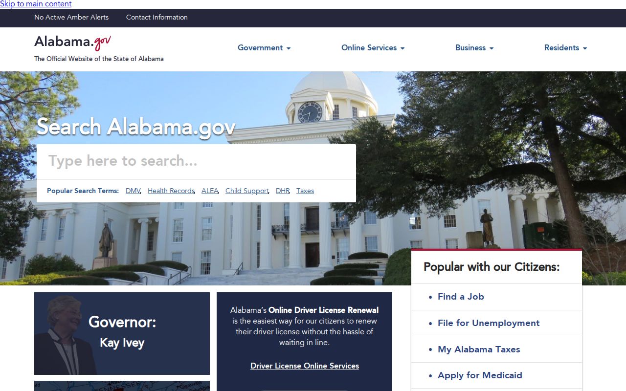 Dale County court docket route through the Alabama government portal