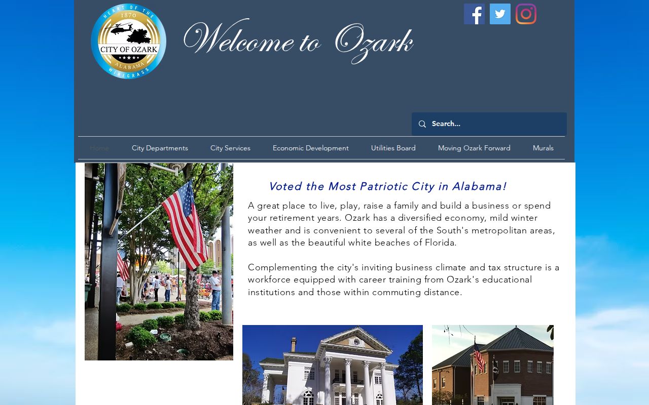 Ozark court docket city government source
